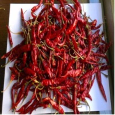 resources of Red Dry Chilies exporters
