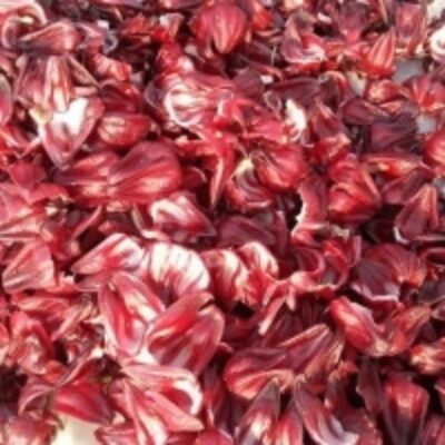 resources of Dried Hibiscus Flower exporters