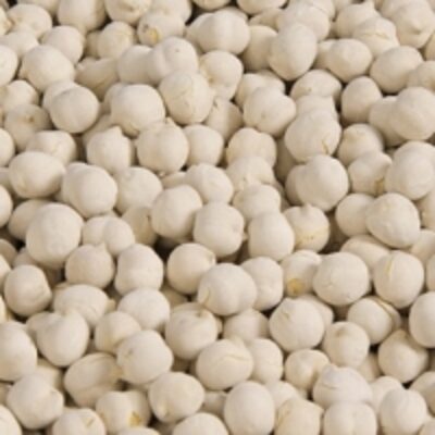 resources of White Chickpea exporters