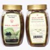 Premium Amla In Honey Exporters, Wholesaler & Manufacturer | Globaltradeplaza.com
