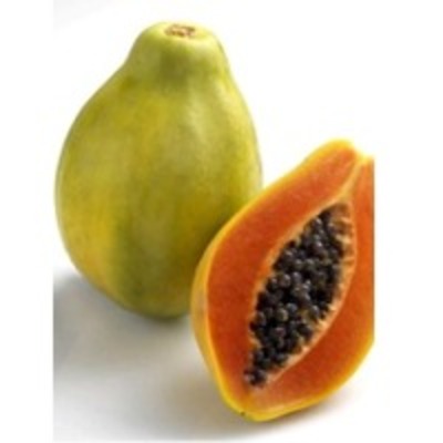 resources of Papaya Pulp exporters