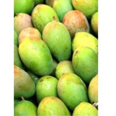 resources of Raw Mango Pulp exporters