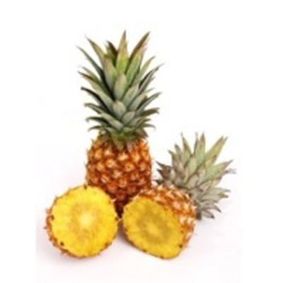 resources of Pineapple Pulp exporters