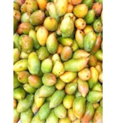 resources of Totapuri Mango Pulp exporters