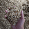 Rice Husk Exporters, Wholesaler & Manufacturer | Globaltradeplaza.com