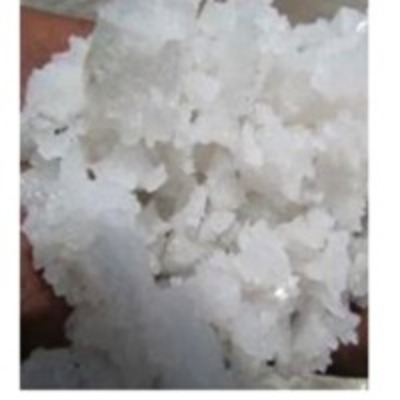 resources of Sea Salt exporters