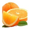 Oranges Exporters, Wholesaler & Manufacturer | Globaltradeplaza.com