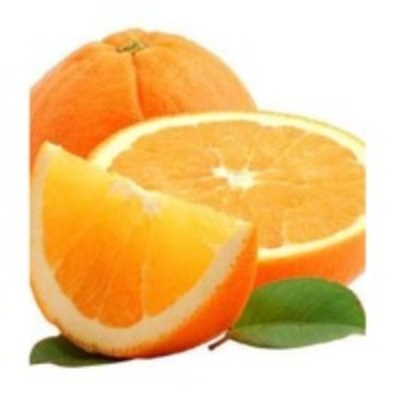resources of Oranges exporters