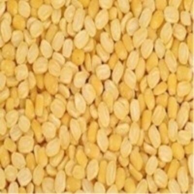 resources of Moong Dal exporters