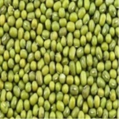 resources of Green Moong Whole exporters