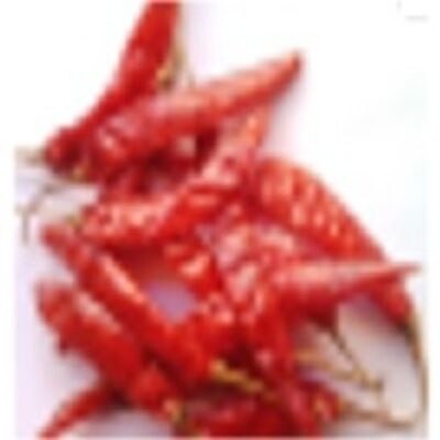 resources of Dry  Chilly exporters