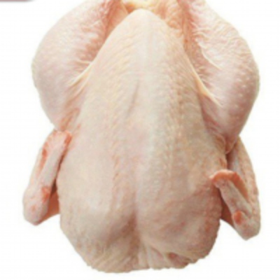 resources of Whole Chicken Halal exporters