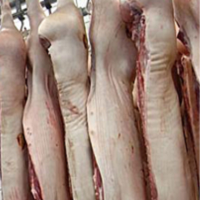 resources of Pork Carcass exporters