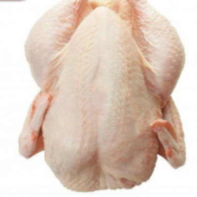 resources of Frozen Chicken Whole exporters