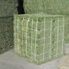 Alfalfa Hay Double Compressed Bales Exporters, Wholesaler & Manufacturer | Globaltradeplaza.com