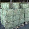 Alfafa Hay For Animal Feeding Exporters, Wholesaler & Manufacturer | Globaltradeplaza.com