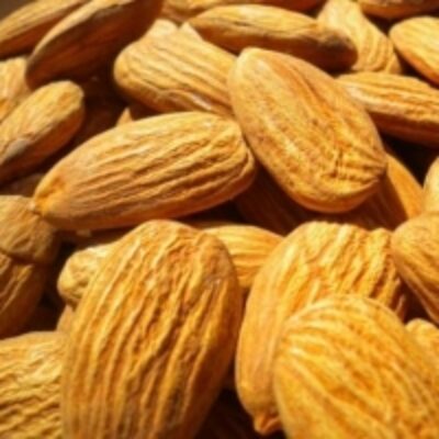 Organic Almonds Exporters, Wholesaler & Manufacturer | Globaltradeplaza.com