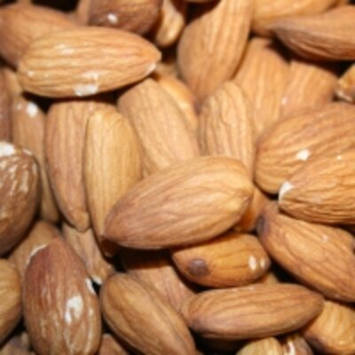 Quality Almond Nuts Exporters, Wholesaler & Manufacturer | Globaltradeplaza.com