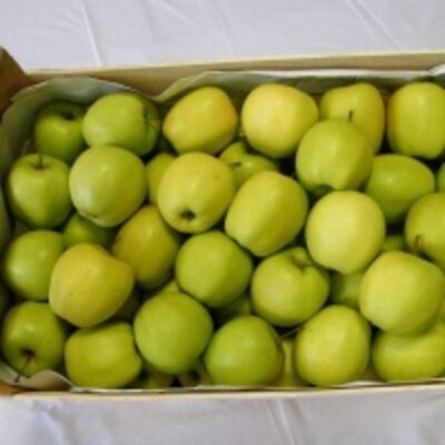 Golden Delicious Apples Exporters, Wholesaler & Manufacturer | Globaltradeplaza.com