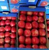 Red Delicious Apple Exporters, Wholesaler & Manufacturer | Globaltradeplaza.com