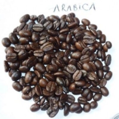 Arabica Coffee Bean -30% Exporters, Wholesaler & Manufacturer | Globaltradeplaza.com