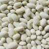 Quality White Butter Beans For Sale Exporters, Wholesaler & Manufacturer | Globaltradeplaza.com