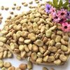 Dried Broad Beans Exporters, Wholesaler & Manufacturer | Globaltradeplaza.com