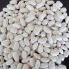 White Beans For Sale Exporters, Wholesaler & Manufacturer | Globaltradeplaza.com