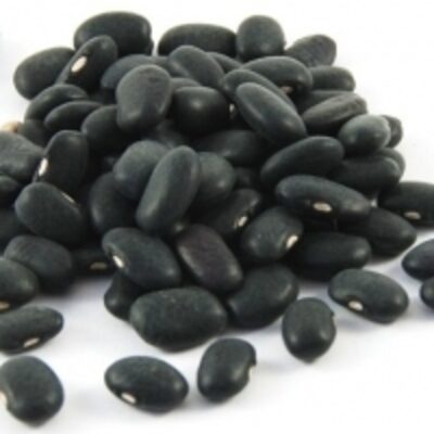 Quality Black Beans Exporters, Wholesaler & Manufacturer | Globaltradeplaza.com