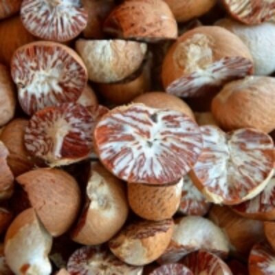 Split Betel Nuts Exporters, Wholesaler & Manufacturer | Globaltradeplaza.com