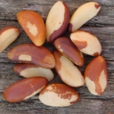 Brazil Nuts Exporters, Wholesaler & Manufacturer | Globaltradeplaza.com