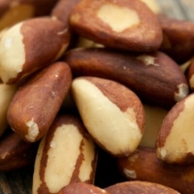 Quality Brazil Nuts For Sale Exporters, Wholesaler & Manufacturer | Globaltradeplaza.com