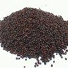 Canola Seeds Exporters, Wholesaler & Manufacturer | Globaltradeplaza.com