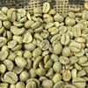 Washed Arabica Green Coffee Beans Grade 1 Exporters, Wholesaler & Manufacturer | Globaltradeplaza.com