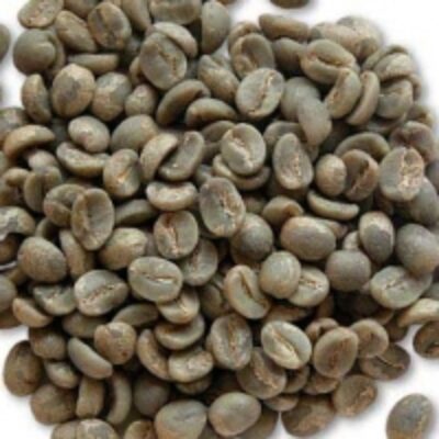 Unwashed Robusta Green Coffee Beans Grade 2 Exporters, Wholesaler & Manufacturer | Globaltradeplaza.com