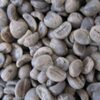 Wet Polished Robusta Green Coffee Beans Grade 1 Exporters, Wholesaler & Manufacturer | Globaltradeplaza.com