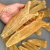 Dried Fish Maws Exporters, Wholesaler & Manufacturer | Globaltradeplaza.com