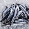 High Grade Frozen Anchovy Fish Exporters, Wholesaler & Manufacturer | Globaltradeplaza.com