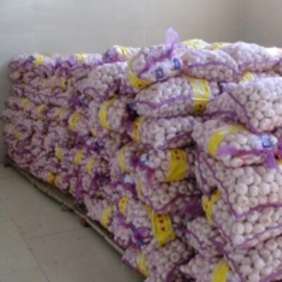 Pure Garlic Exporters, Wholesaler & Manufacturer | Globaltradeplaza.com