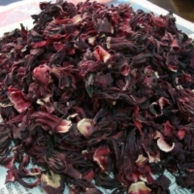 Dried Hibiscus Flower Exporters, Wholesaler & Manufacturer | Globaltradeplaza.com