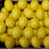 Fresh Lemon Exporters, Wholesaler & Manufacturer | Globaltradeplaza.com