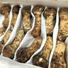 Matsutake Mushroom For Sale Exporters, Wholesaler & Manufacturer | Globaltradeplaza.com