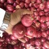 Fresh Red Onion Exporters, Wholesaler & Manufacturer | Globaltradeplaza.com