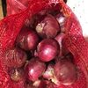 Red Onion (Grade A) Exporters, Wholesaler & Manufacturer | Globaltradeplaza.com
