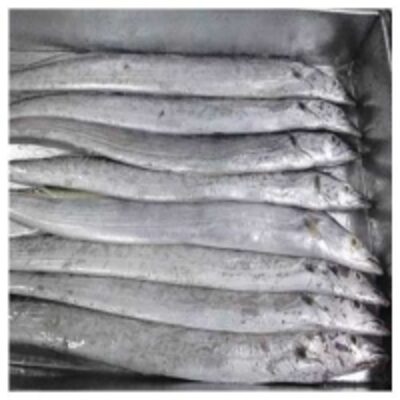 Fresh Frozen Ribbon Fish Exporters, Wholesaler & Manufacturer | Globaltradeplaza.com