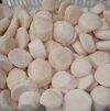 Frozen Scallops Exporters, Wholesaler & Manufacturer | Globaltradeplaza.com