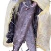 Frozen Hgt Oil Fish Exporters, Wholesaler & Manufacturer | Globaltradeplaza.com