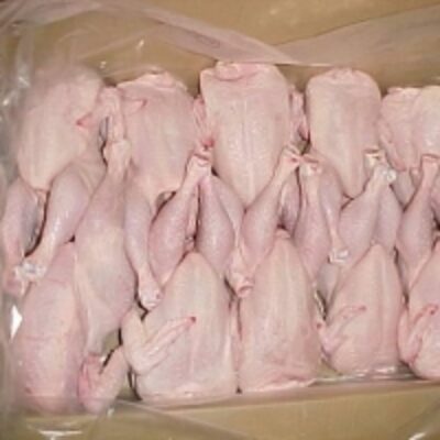 Whole Frozen Chicken Exporters, Wholesaler & Manufacturer | Globaltradeplaza.com
