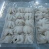 Frozen Baby Octopus Exporters, Wholesaler & Manufacturer | Globaltradeplaza.com