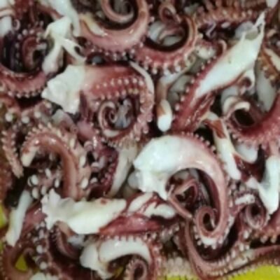 Frozen Octopus Tentacle Exporters, Wholesaler & Manufacturer | Globaltradeplaza.com